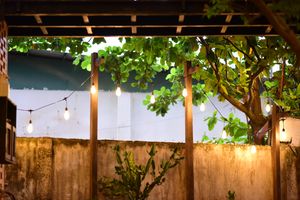 Light Up the Night: DIY Backyard Lighting Ideas